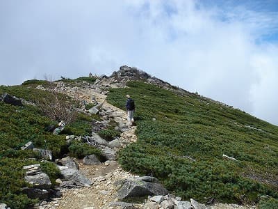 アルペン的な登山道