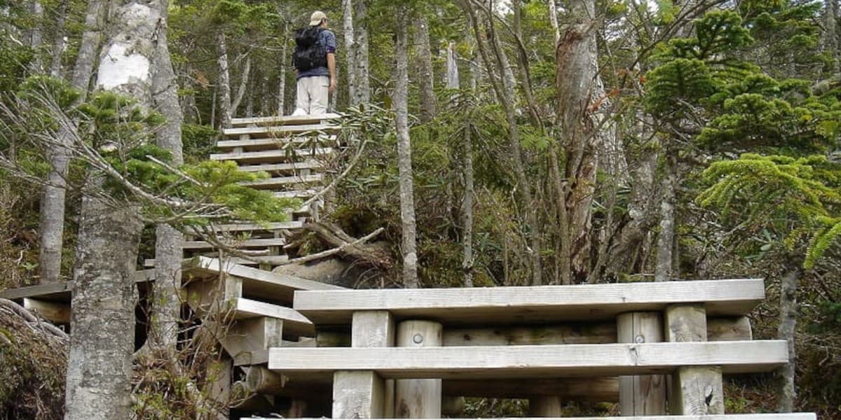 国師ヶ岳までの登山道