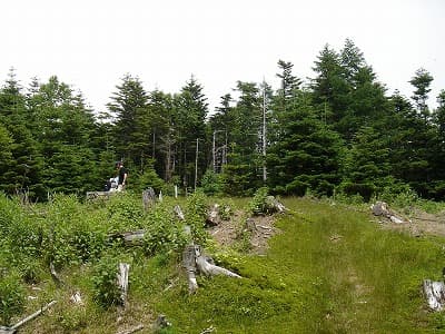 七面山と登山道