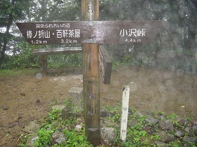 岩茸岩山までの登山道にあった黒山