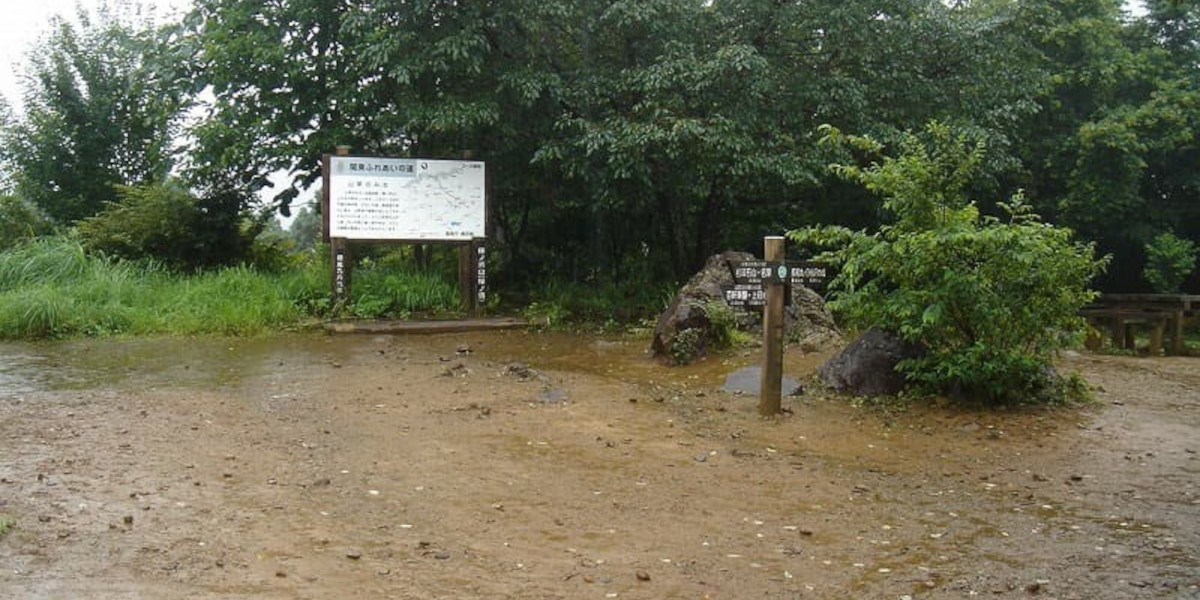 雨の棒ノ折山（棒ノ嶺）