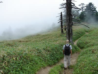 ガスの登山道