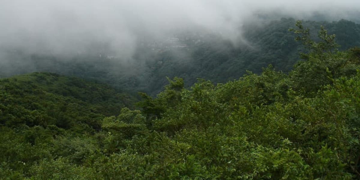 金時山