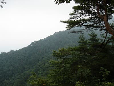 天神山からの景色