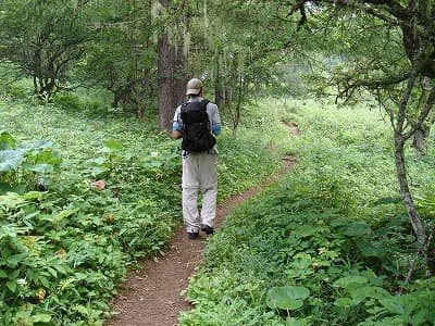 登山道