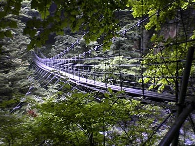 揺れる吊り橋