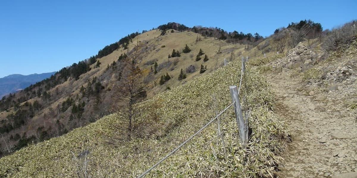 大菩薩嶺までの登山道