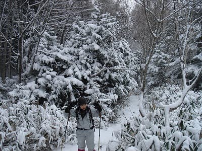 雪の登山道