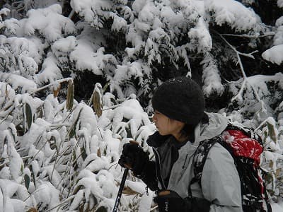 雪景色とひめさま