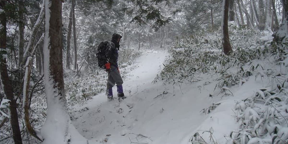 日光白根山の麓の登山道