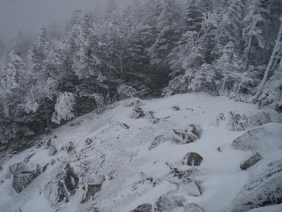 風が吹き付ける登山道