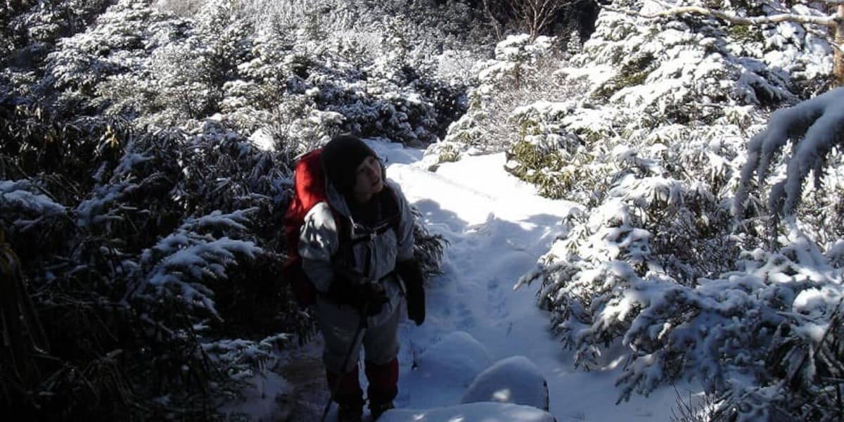 甲武信ヶ岳からの登山道