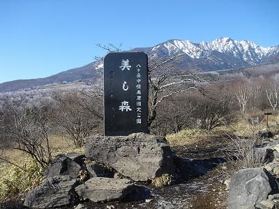 美し森山頂