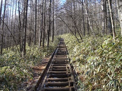 木道の登山道