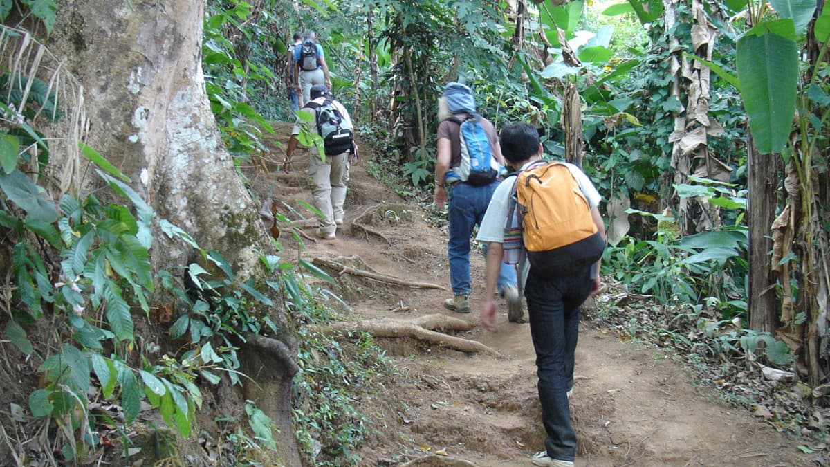 チェンライ・トレッキングの登山道