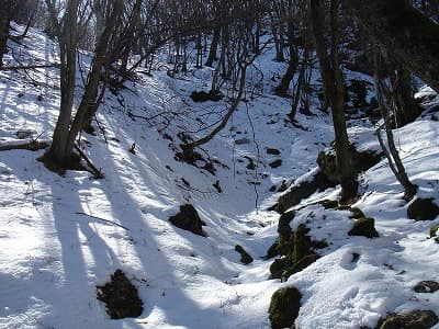 山頂付近の残雪