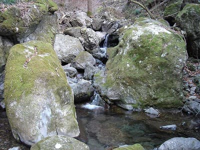 快適な沢筋の登山道