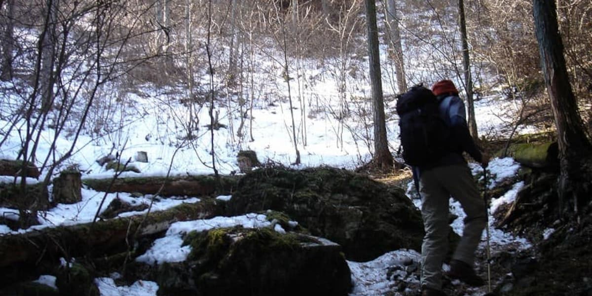 樹林帯の登山道