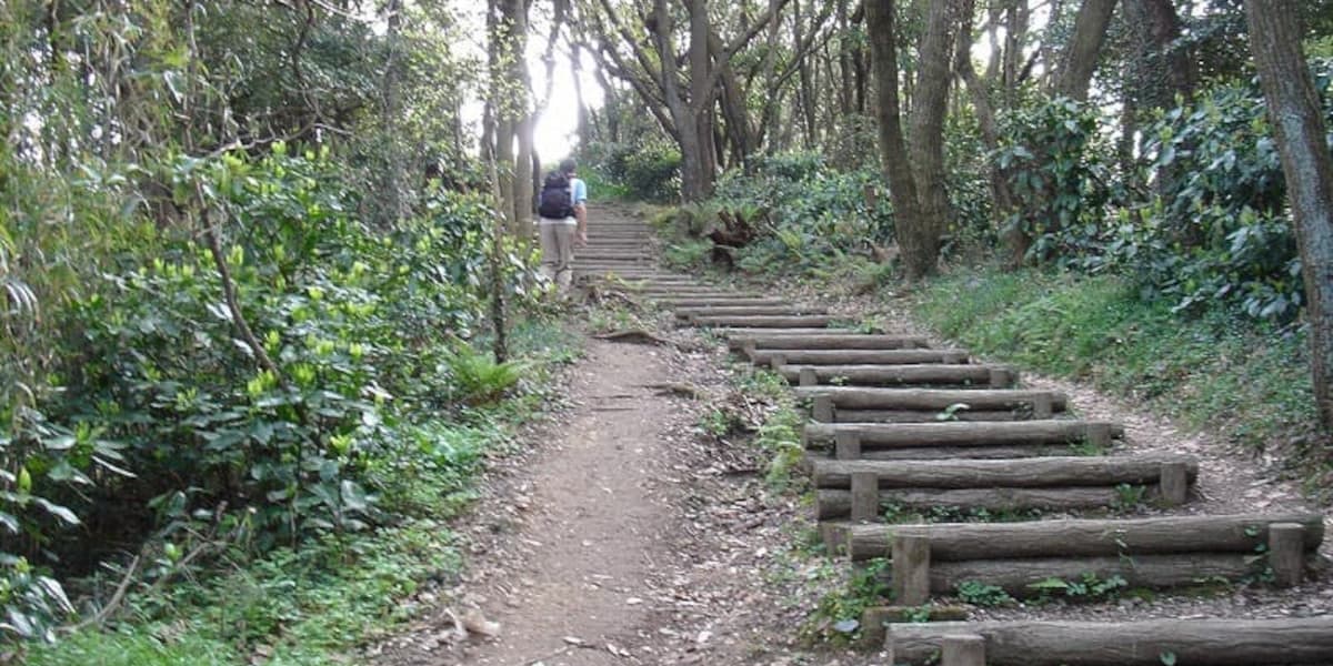 大楠山の登山道