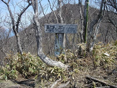 駒ヶ岳の山頂