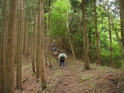 急坂の登山道