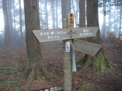 栗ノ木洞の山頂