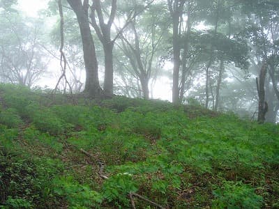 鍋割山までの景色