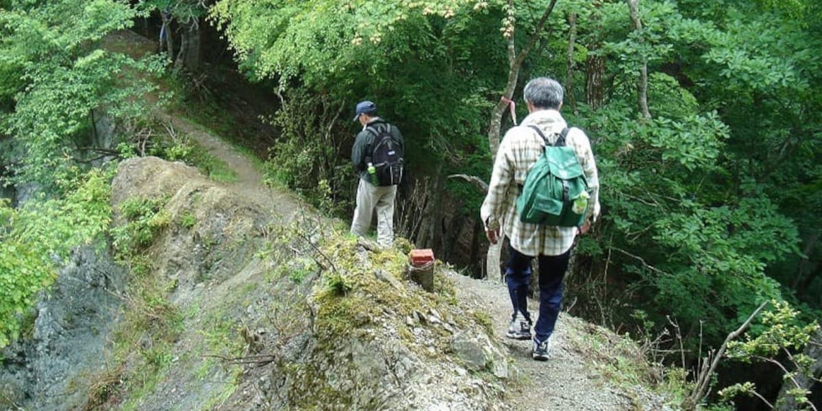 丹沢の登山道