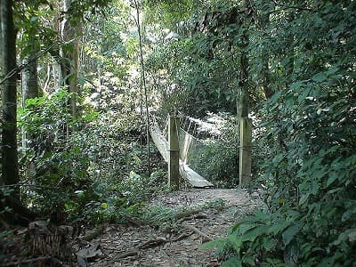 吊り橋