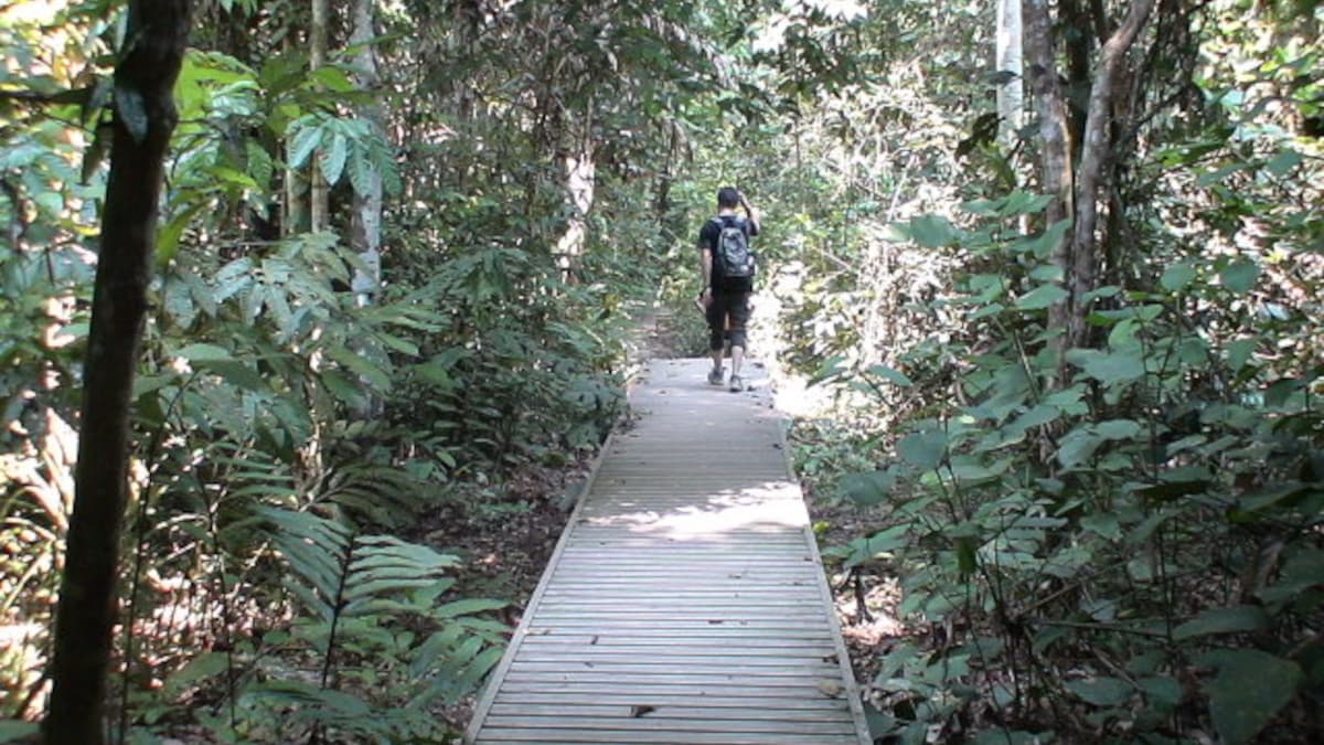 タマン・ヌガラ国立公園の登山道