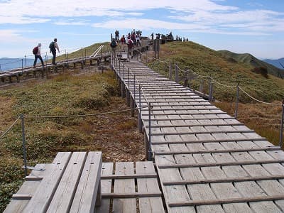 山頂の登山道