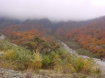 どんよりした天気