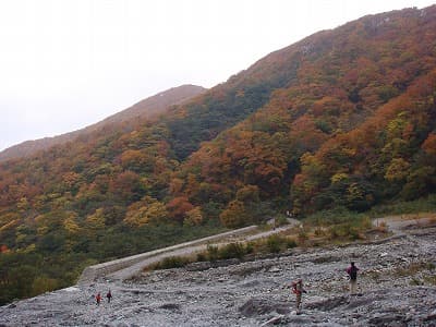 河原付近の紅葉
