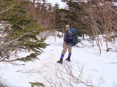 下山の道