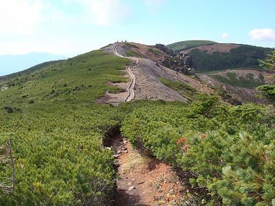 山頂付近の登山道