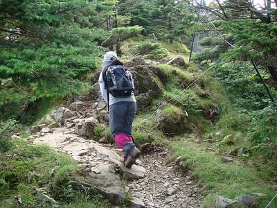 八経ヶ岳へ向かう登山道