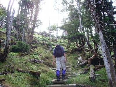 大峰山弥山へ向かう登山道