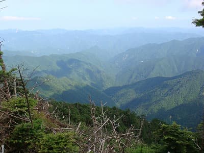 大峰の山々を望む