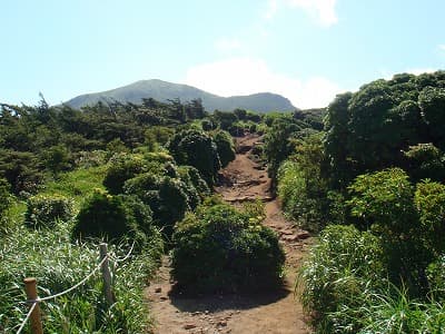 登りはじめの登山道