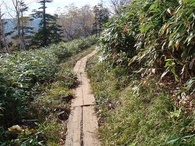 木道の登山道