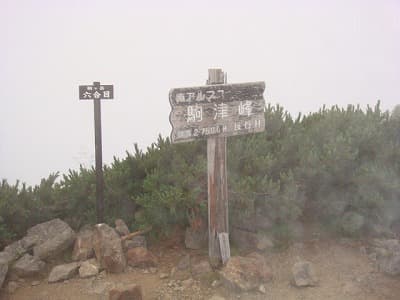 南アルプスの山旅（登山、トレッキング）、駒津峰