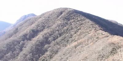 静岡県賀茂郡の旅行で訪れた観光名所、天城山