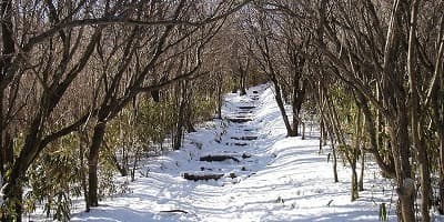 旅行で訪れた観光名所、愛鷹山（越前岳）