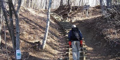 旅行で訪れた観光名所、足和田山