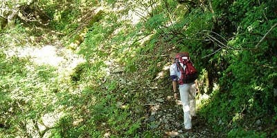 旅行で訪れた観光名所、八紘嶺と七面山