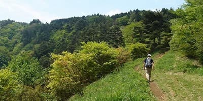 旅行で訪れた観光名所、明神ヶ岳