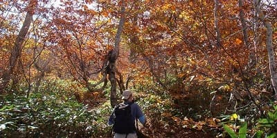 旅行で訪れた観光名所、至仏山