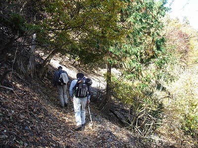 山旅（登山）中