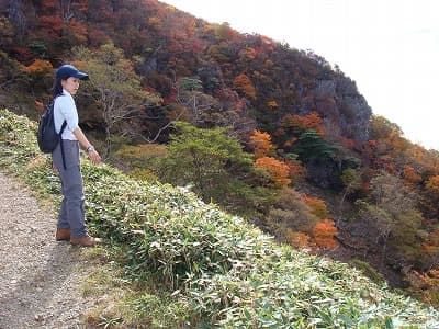 山を楽しむひめさま