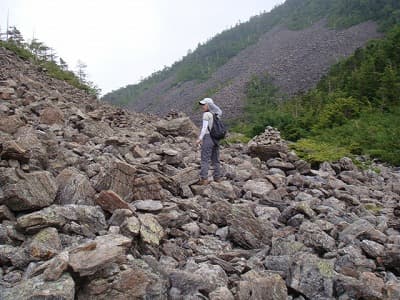 ひめさま闊歩